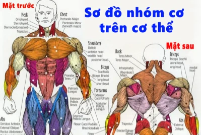 BĂNG DÁN CƠ 3NS TEX & BĂNG DÁN CƠ EPOS TAPE